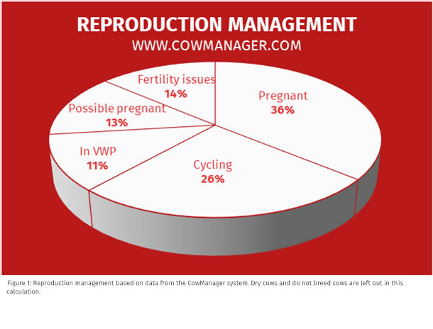 Fertility Pie