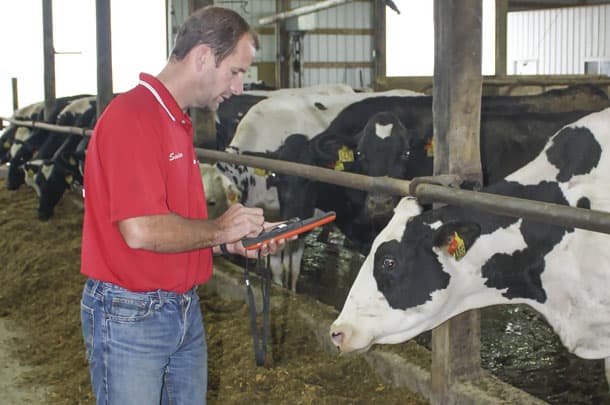 Sander Penterman tries out Find Your Cow
