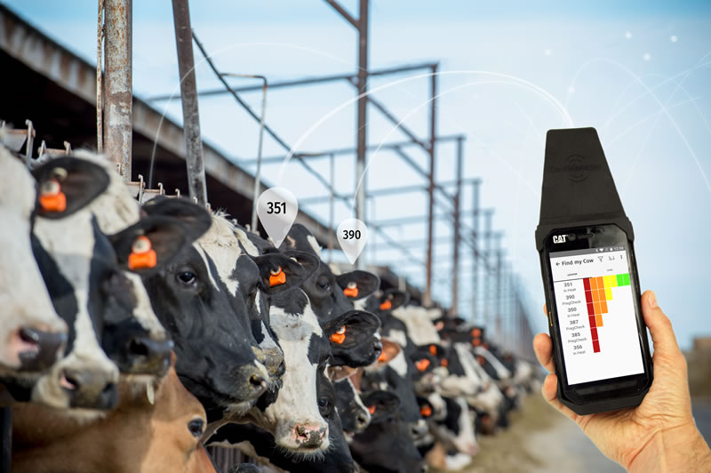 Find my cow device is used to pinpoint certain cows from a row of cows.