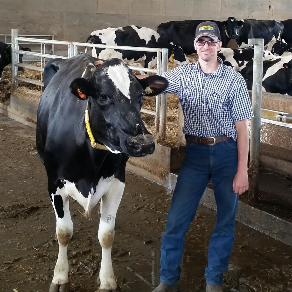 baas baas dairy